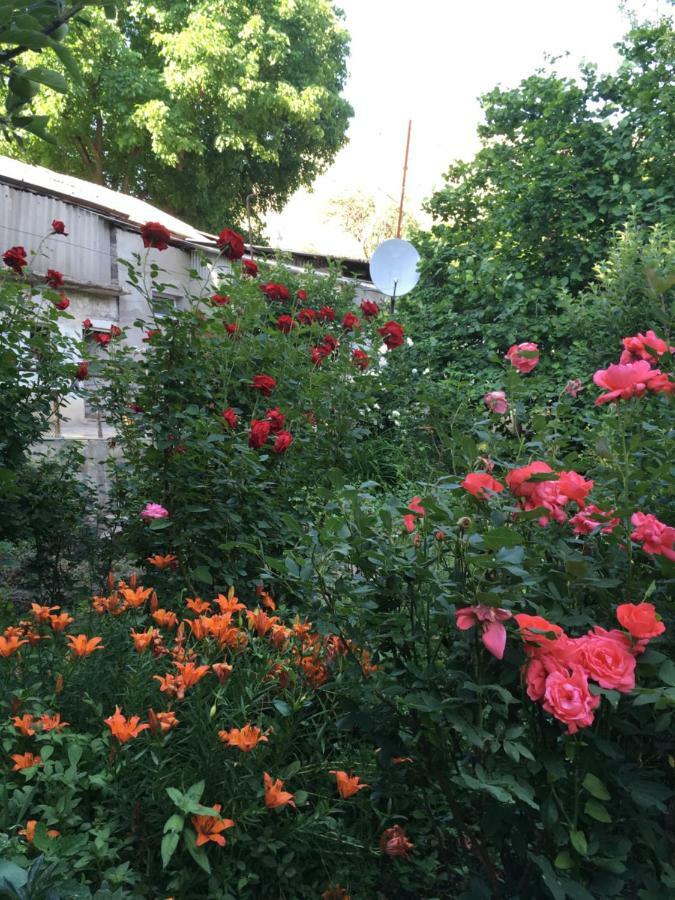 Vagudy Ave Zara B&B 외부 사진